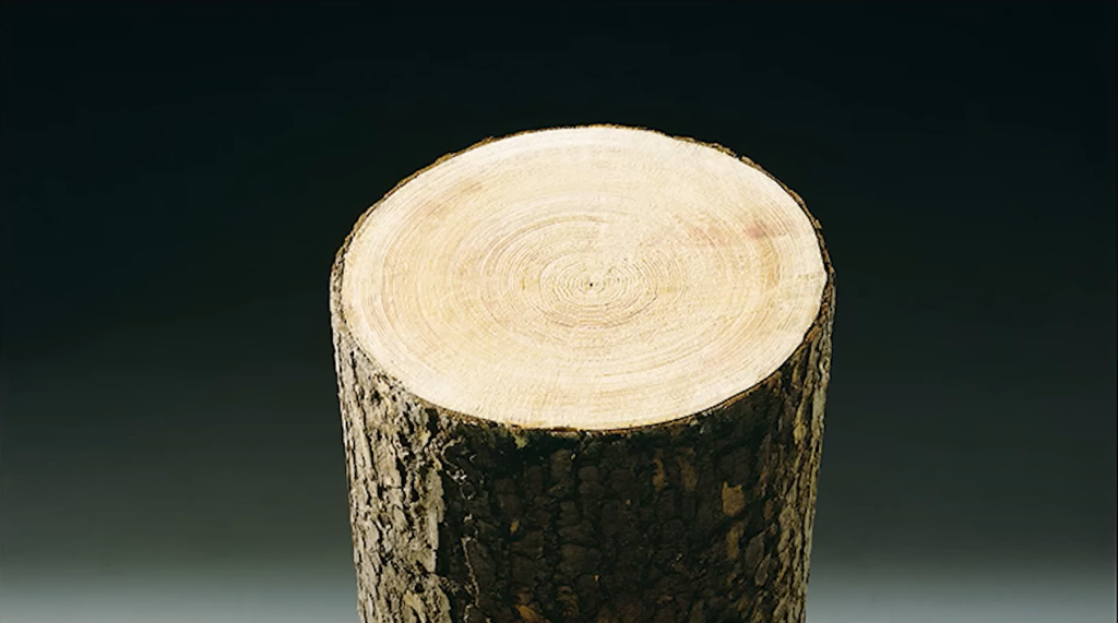 ラミナの構造用の木材