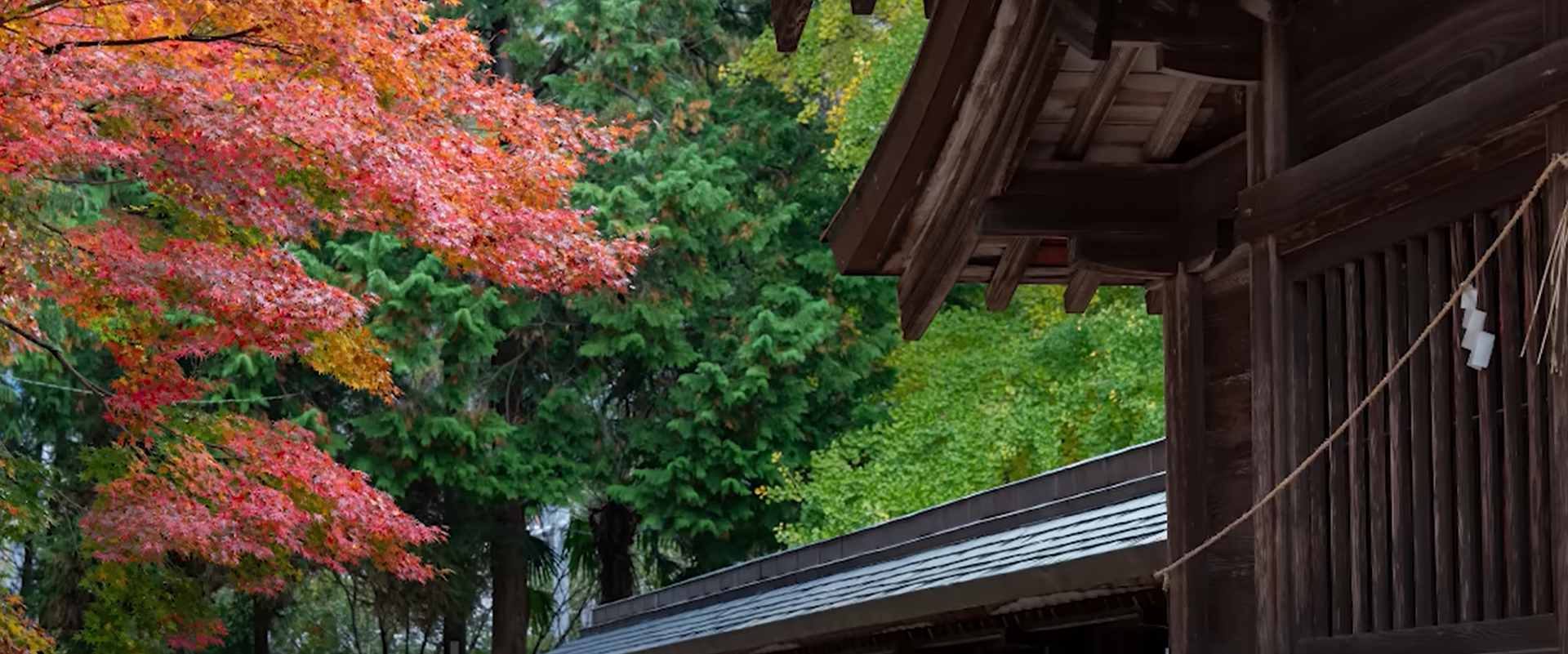 京都の有名な社寺仏閣