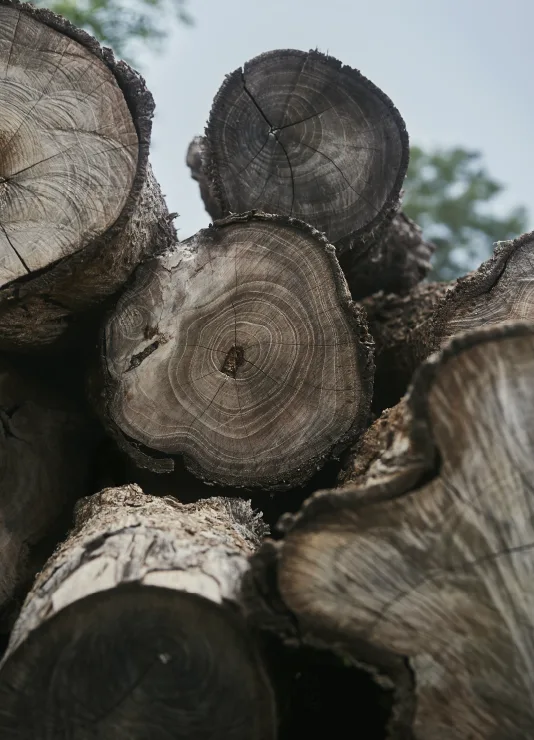 PRIME WOOD
