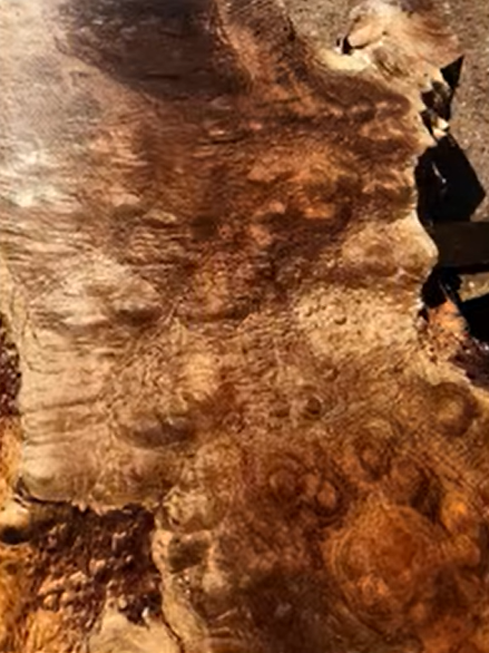 バストゥーンウォールナット