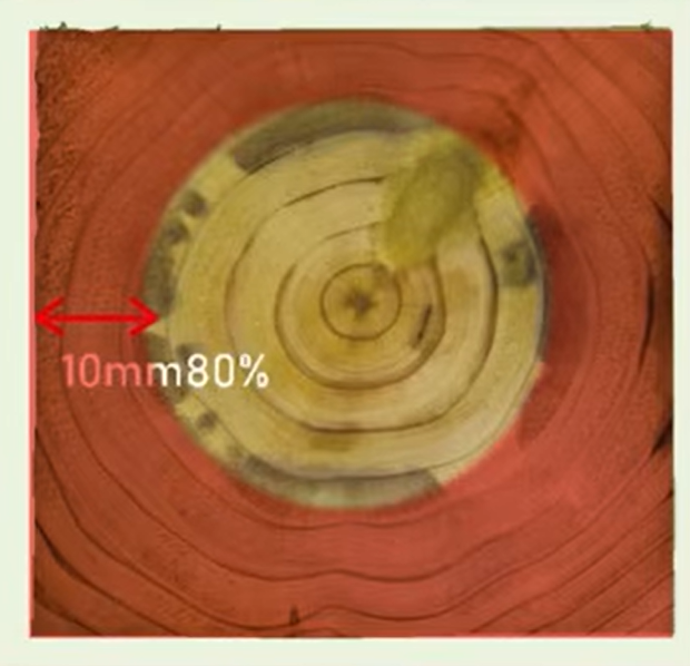 シロアリに耐性のない部分に薬剤を加圧注入