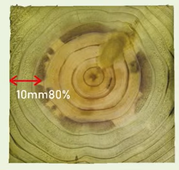 シロアリに耐性のない部分に薬剤を加圧注入