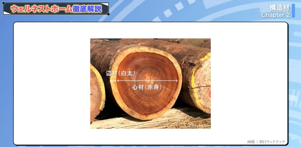 木の「心材」と「辺材」