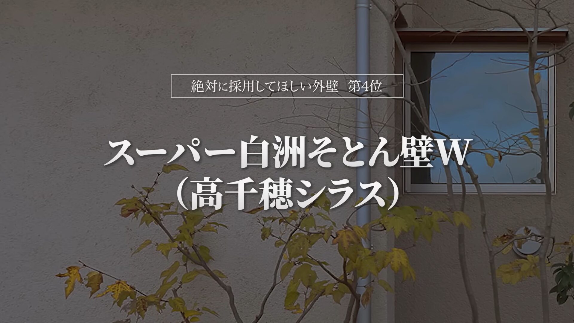 おすすめ外壁第4位:スーパー白洲そとん壁W(高千穂シラス)