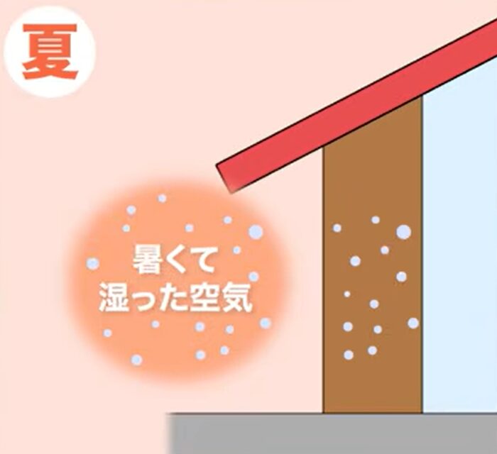 ウェルネストウォール_夏