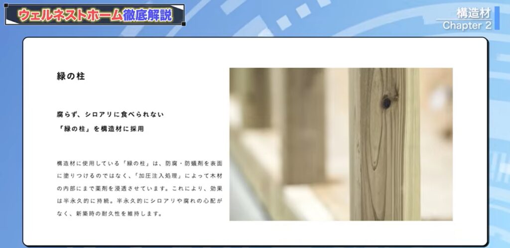 緑の柱