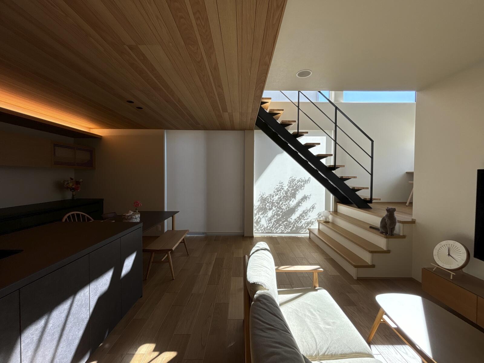 【32坪】猫と暮らす家